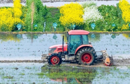 锚定国家战略  提升农业科技创新体系整体效能