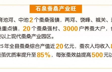 数智桑蚕“丝路”宽