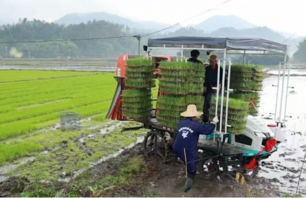 人勤春早忙农事 农机赋能助春耕