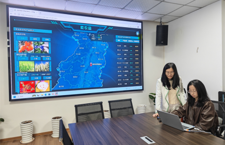 “数字供销”激活农业新动能