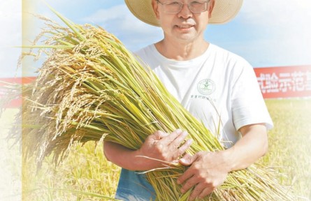 领创 | 草帽教授