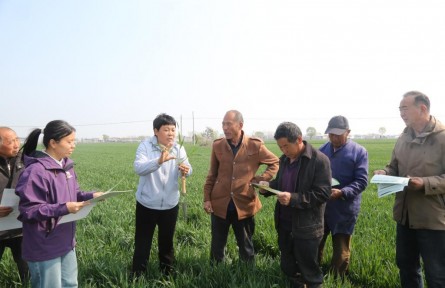 春耕春管关键期 全链条要素保障粮食丰收