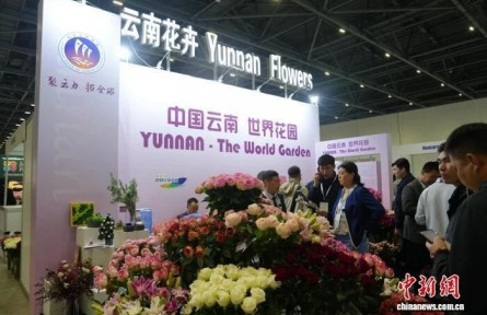 从中国昆明到哈萨克斯坦阿斯塔纳，这个鲜花展上刮起“云南风”