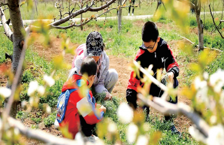 北京海淀：春日赴田园！乐享农耕好时光