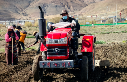 一粒良种带来的踏实