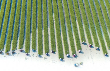 “劝农”:古老的春耕动员令