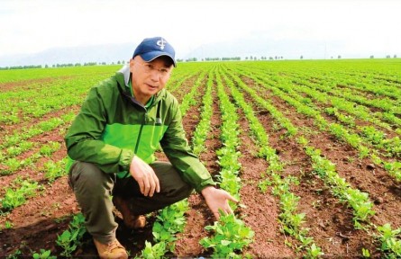 稼祺公司专注藜麦产业近20年——深耕全产业链 开拓更大市场