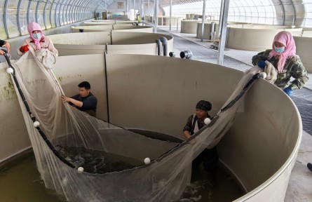 科技赋能现代农业