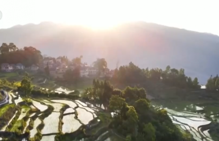 向科技要产量 “一站式”机械化农事服务成为春耕生产新的“打开方式”