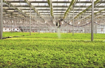 做强“贵州芯” 端稳“金饭碗”