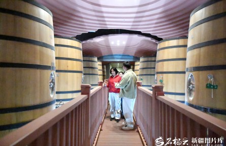 焉耆盆地霍拉山下,葡萄酿出醇香产业