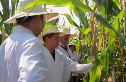 李希国：培育“芯片”的玉米制种工匠