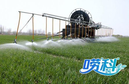 小麦春季“第一水”该怎么浇？又该如何追肥？