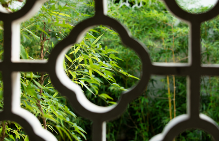 科技名词|绿色生态空间 green ecological space