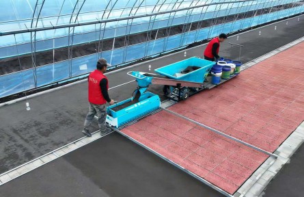 【先行先试 农业新质生产力看北大荒】北大荒农业股份八五二分公司：智能播种让农户育秧好轻松