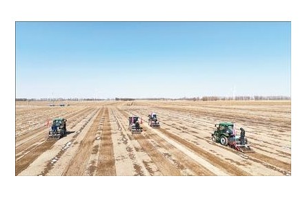 算准时节、配好作物，“一地三收”梦成真