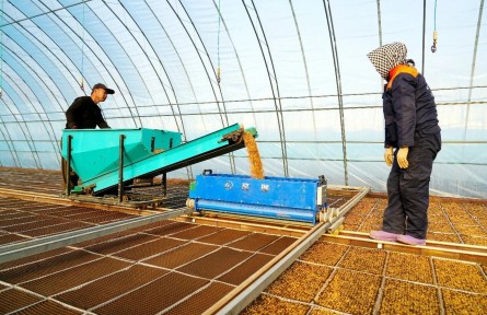 【先行先试 农业新质生产力看北大荒】普阳农场：真有机从育种开始