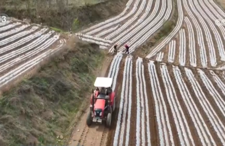 从“经验种地”到“科技耕种” 良机良法良种深度融合绘就“智慧春耕图”