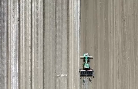 “北斗导航+智能播种+精准滴灌”显身手 新疆棉花以“硬科技”夯实“软实力”