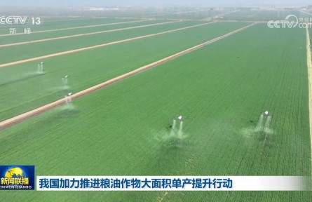 我国加力推进粮油作物大面积单产提升行动