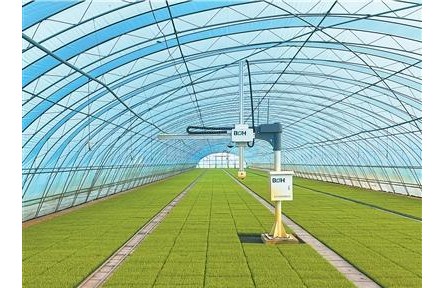 外国友人镜头里的中国乡村全面振兴——兴业富民 乡村和美