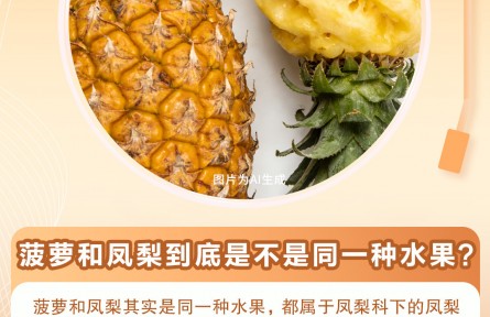 30秒懂 | 菠萝和凤梨是同一种水果吗？