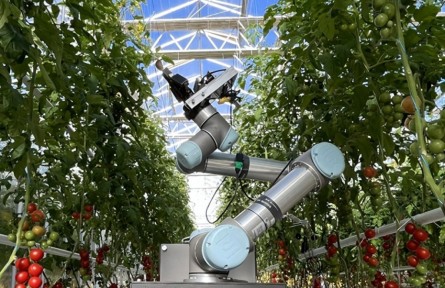 机器人育种家“吉儿”给农作物“牵红线”