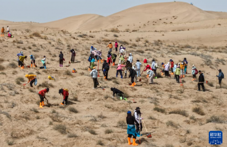 跨越山海种树护绿