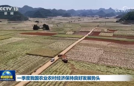 一季度我国农业农村经济保持良好发展势头