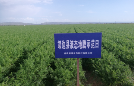 自研黑科技！陕西液态地膜让农业告别“白色污染”