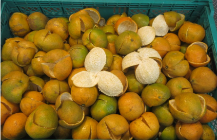 陈皮不就是晒干的橘子皮吗？为什么卖得那么贵？