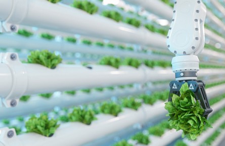 植物工厂种出来的菜没有灵魂，全是化学品？