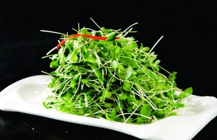 它是“超级生命力食材”，现在正当季，再不吃就晚了！