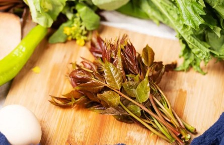 吃野菜怎样更安全，答案来了