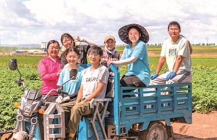 这群年轻人在土豆田里“种”论文