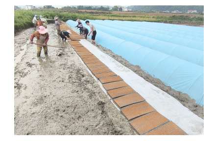 “四良”融合强品牌  贵州水稻产能提升行动见实效