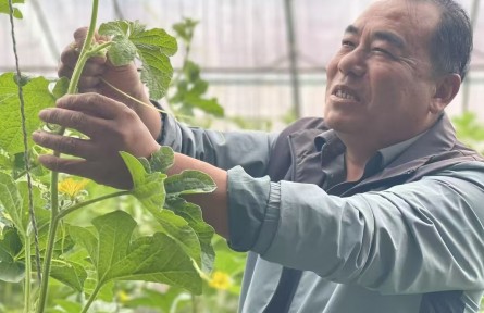 两化一振兴 塞上谱新篇｜整地引资 改土育肥——石嘴山市惠农区盐碱地上种产业