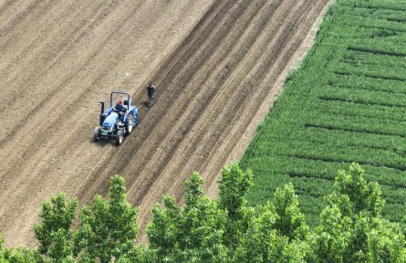 农业法大修四大看点