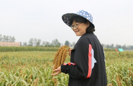 宋慧：让“种谷子跟种玉米一样省事”变成现实 | 建功十五五 巾帼勇担当
