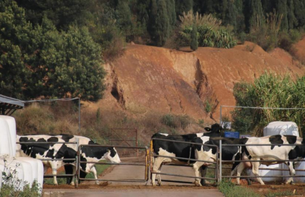 乡村振兴 | 云南：保种源护特色 做优畜牧文章