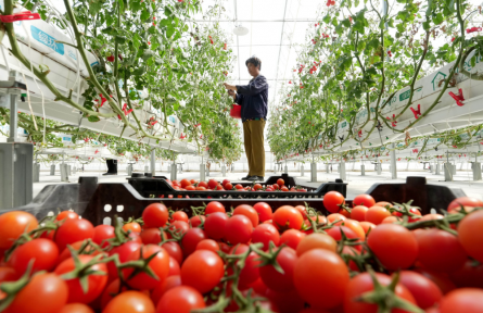 农业法修订草案 draft revision to the Agriculture Law