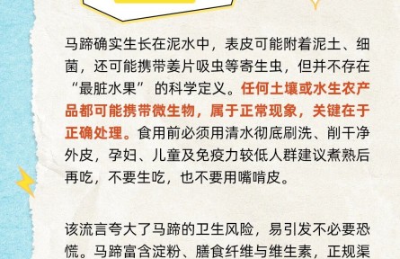 马蹄是“最脏水果”？