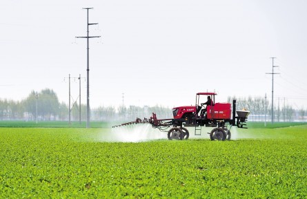 我们的田野：速冻蔬菜闯世界，身价翻了好几倍