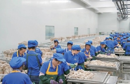 农民日报│贵州道真县：东西协作赋能食用菌产业
