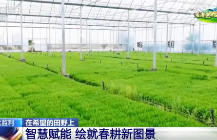 智能化设备推动传统农耕向“数智化+绿色化”转型 田间地头绘就“新”图景