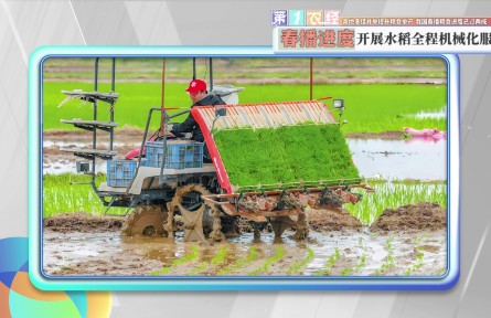 各地多措并举提升粮食单产 我国春播粮食进度已过两成