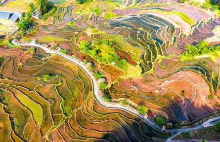 云南绥江：夏野铺青 梯田叠翠