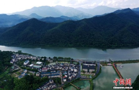 福建三明深耕林下经济 绿水青山成为“幸福靠山”