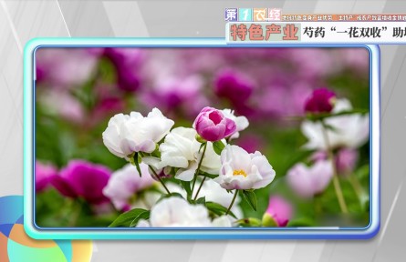 地域特色变身产业优势 “土特产”成农户致富增收金钥匙