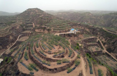 记者手记：北扩西移，探访我国最大苹果种植区